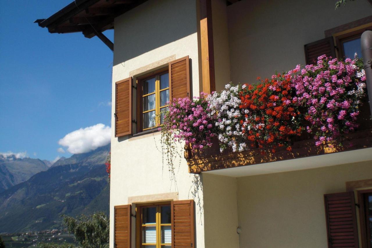 Hahnenkamm Rainegg Apartman Scena Kültér fotó