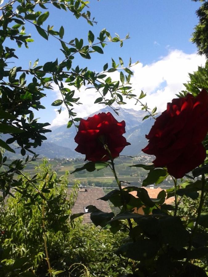 Hahnenkamm Rainegg Apartman Scena Kültér fotó