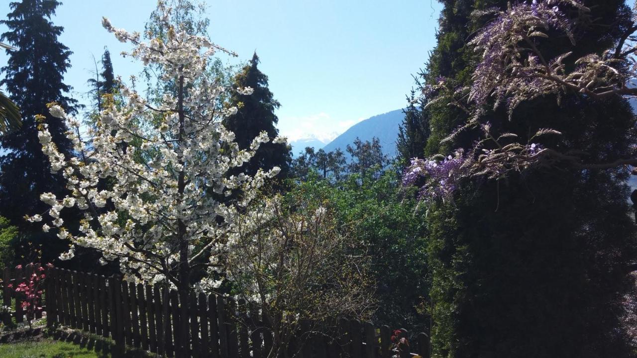 Hahnenkamm Rainegg Apartman Scena Kültér fotó